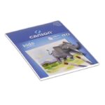 CS63 CS63 BLOC ENFANT 5 ANS+ 20 FEUILLES PENTURE  CANSON A4 200 Grs – Image 2